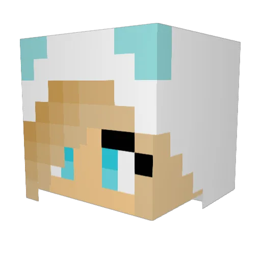 tinker667 Minecraft avatar head, 3D render