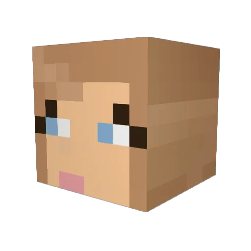 tinkerbella13 Minecraft avatar head, 3D render