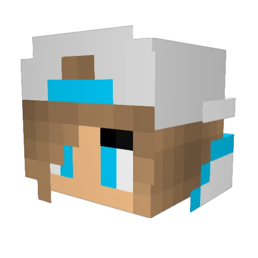 tinkpenut200 Minecraft avatar head, 3D render