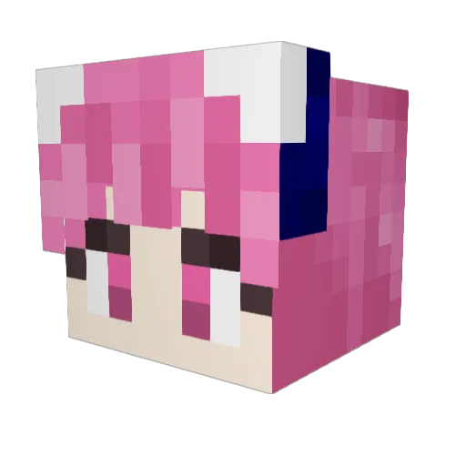 tinkybinky Minecraft avatar head, 3D render
