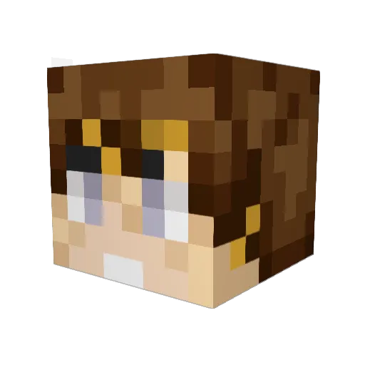 tinned_trout Minecraft avatar head, 3D render