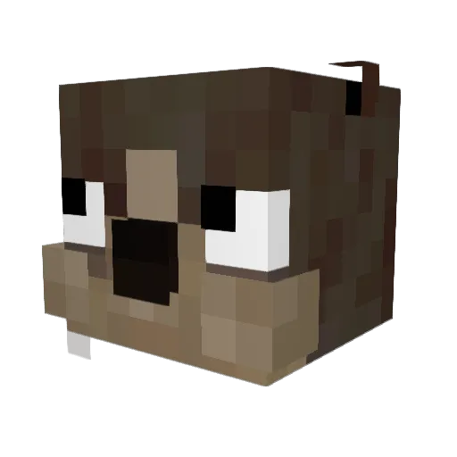 tinnge_exe Minecraft avatar head, 3D render