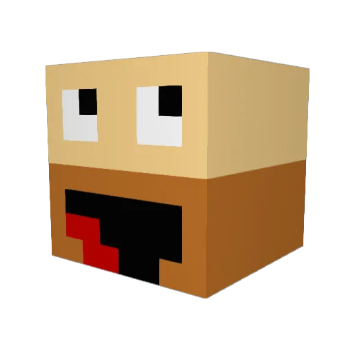 tinnkuru Minecraft avatar head, 3D render