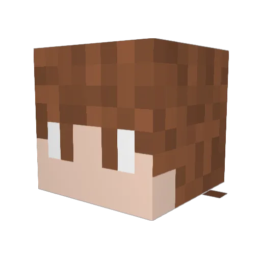 tinnyevning914 Minecraft avatar head, 3D render