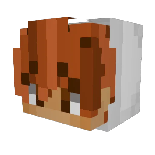 tinoaurel Minecraft avatar head, 3D render