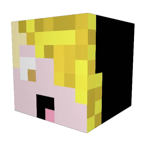 tinogg Minecraft avatar head, 3D render