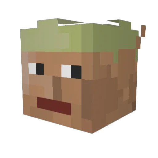 tinokii Minecraft avatar head, 3D render