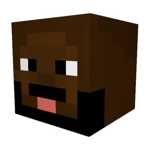 tinsmcaccount Minecraft avatar head, 3D render