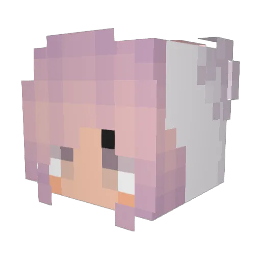 tintenkind Minecraft avatar head, 3D render