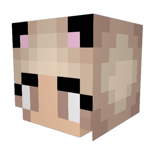 tintidd Minecraft avatar head, 3D render
