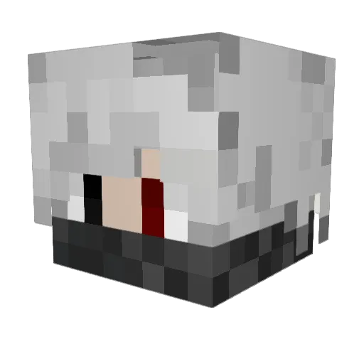tintin1098 Minecraft avatar head, 3D render