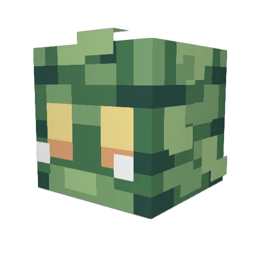 tintin21454 Minecraft avatar head, 3D render