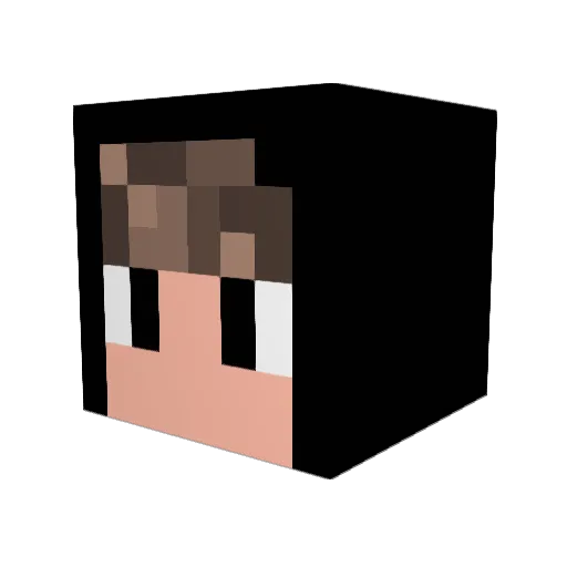 tintinm2907 Minecraft avatar head, 3D render