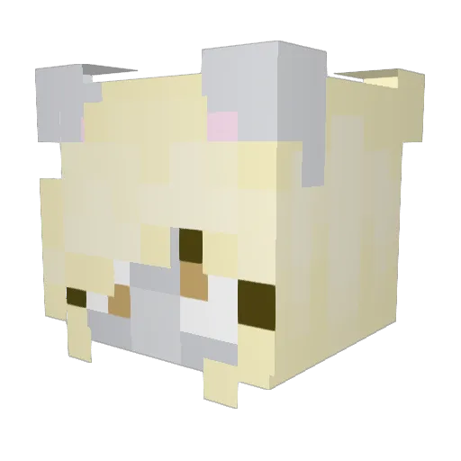 tinuskaa Minecraft avatar head, 3D render