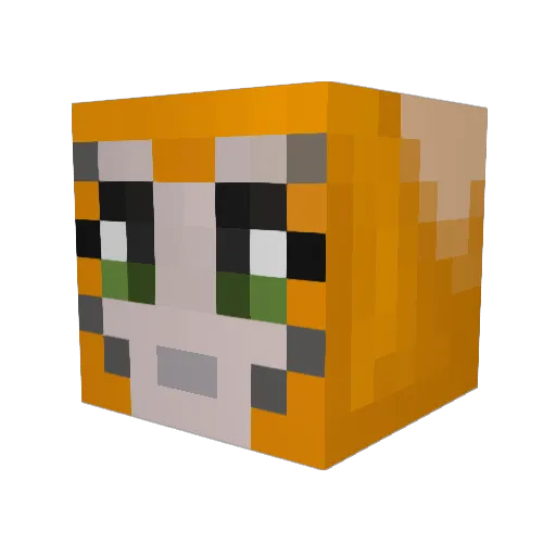 tinyDylan Minecraft avatar head, 3D render
