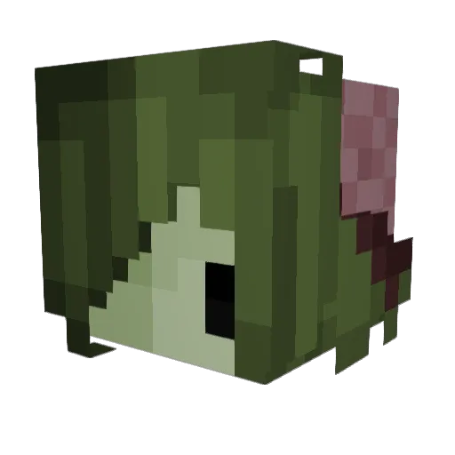tiny_turnip Minecraft avatar head, 3D render