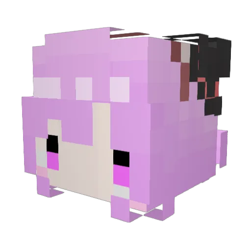 tinyaaaan Minecraft avatar head, 3D render