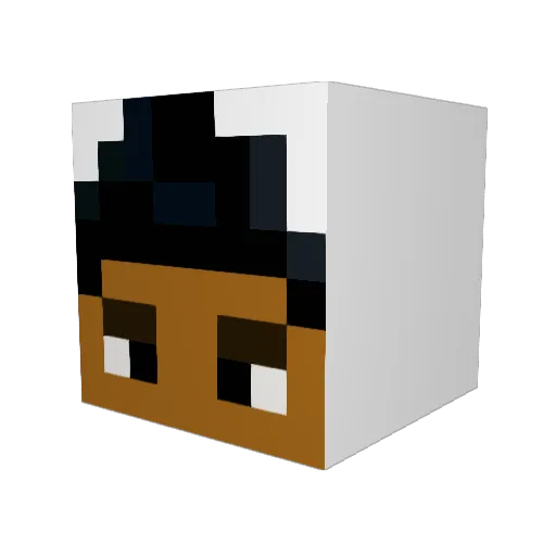 tinyayy15 Minecraft avatar head, 3D render
