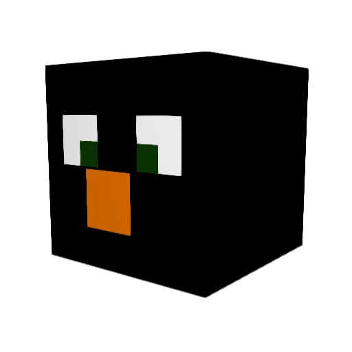 tinyboy9 Minecraft avatar head, 3D render
