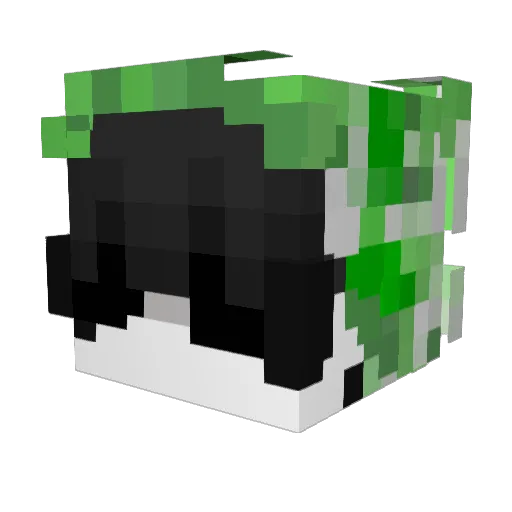 tinychineseboy Minecraft avatar head, 3D render