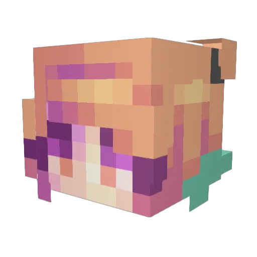 tinydoglover07 Minecraft avatar head, 3D render