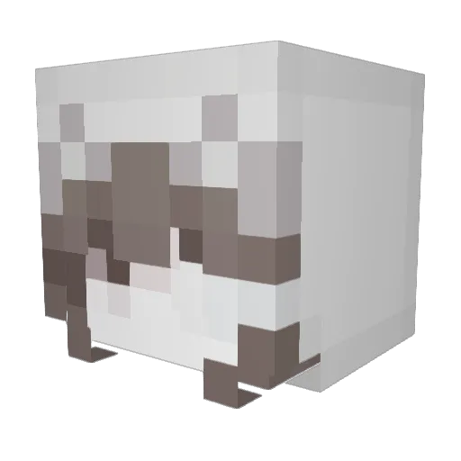 tinydollgirl Minecraft avatar head, 3D render
