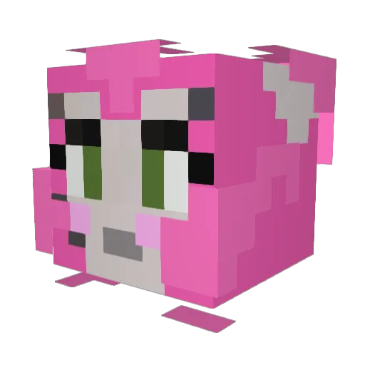 tinyflyerj3 Minecraft avatar head, 3D render