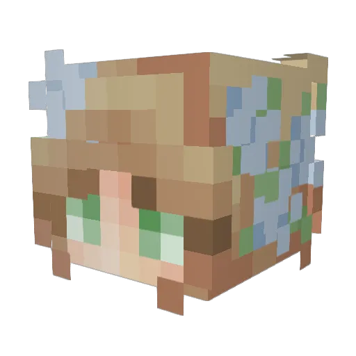 tinymaycry Minecraft avatar head, 3D render