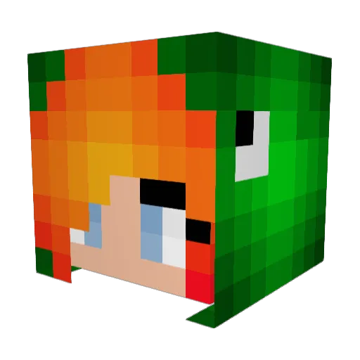 tinyninja2222 Minecraft avatar head, 3D render