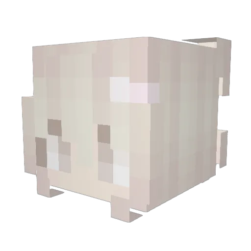 tinypanties Minecraft avatar head, 3D render