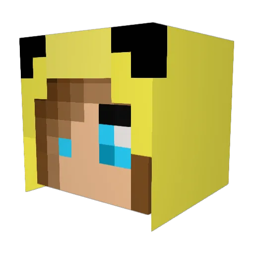 tinypaws2000 Minecraft avatar head, 3D render