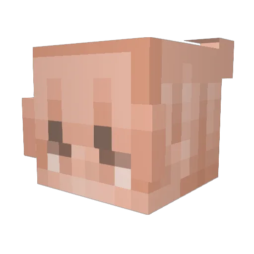 tinypig_ Minecraft avatar head, 3D render