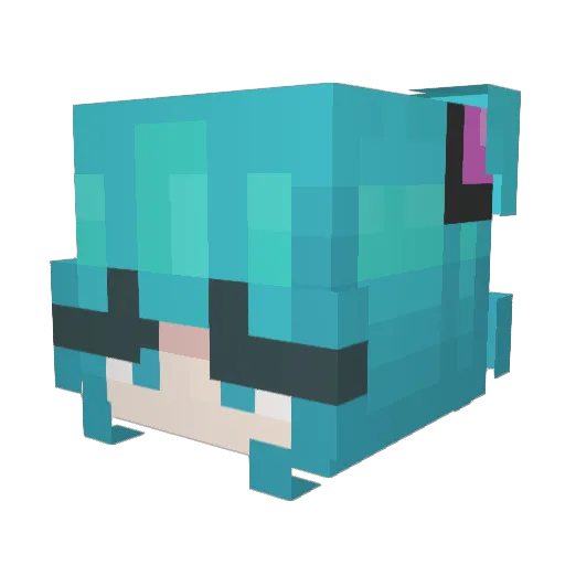 tinypluto8 Minecraft avatar head, 3D render