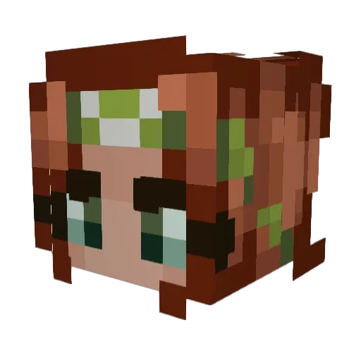 tinypoopshark67 Minecraft avatar head, 3D render