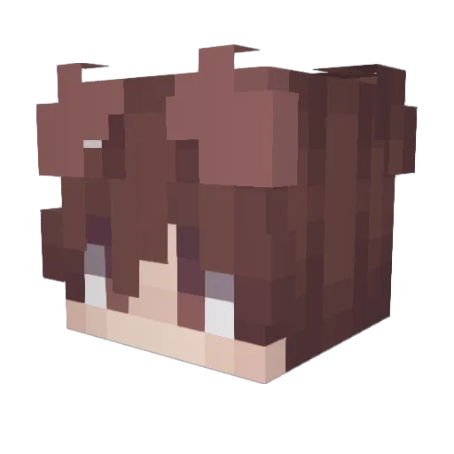tinypup Minecraft avatar head, 3D render