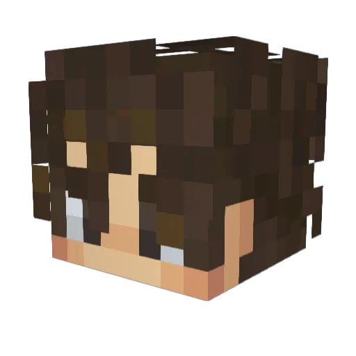 tinysimba6000 Minecraft avatar head, 3D render
