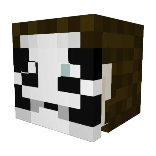 tinytemper01 Minecraft avatar head, 3D render