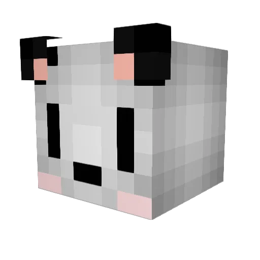 tinythegnome Minecraft avatar head, 3D render
