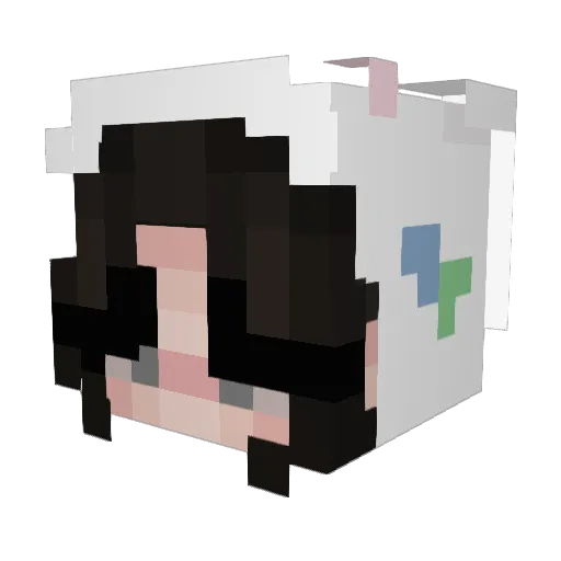 tinytiffypoo Minecraft avatar head, 3D render