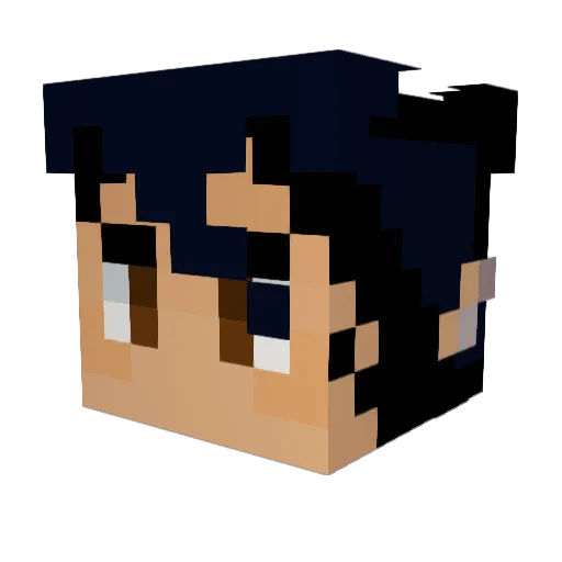 tinytmss Minecraft avatar head, 3D render