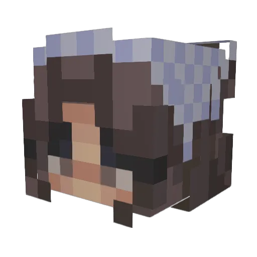 tinyturtle0w0 Minecraft avatar head, 3D render