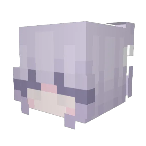 tinyytangerine Minecraft avatar head, 3D render
