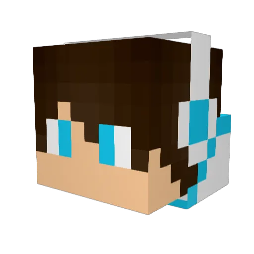 tion132 Minecraft avatar head, 3D render