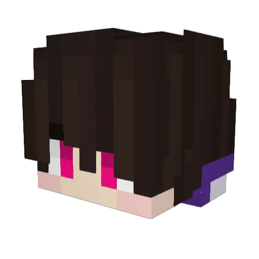 tipouk Minecraft avatar head, 3D render