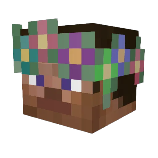 tipsman45 Minecraft avatar head, 3D render
