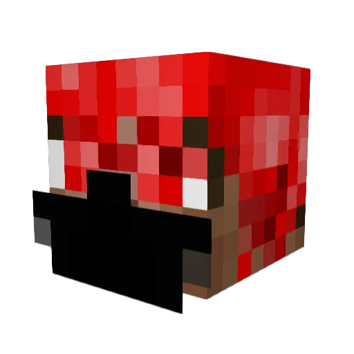 tiptoplollypop Minecraft avatar head, 3D render