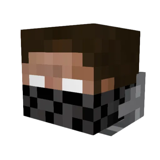 tipuku Minecraft avatar head, 3D render