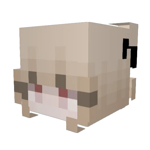 tiqt Minecraft avatar head, 3D render