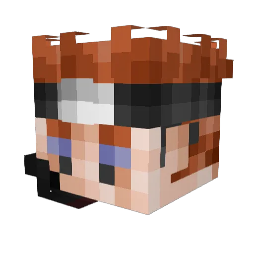 tiqueez Minecraft avatar head, 3D render