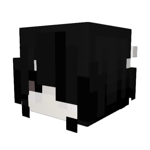 tiramicu Minecraft avatar head, 3D render